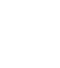 web application development